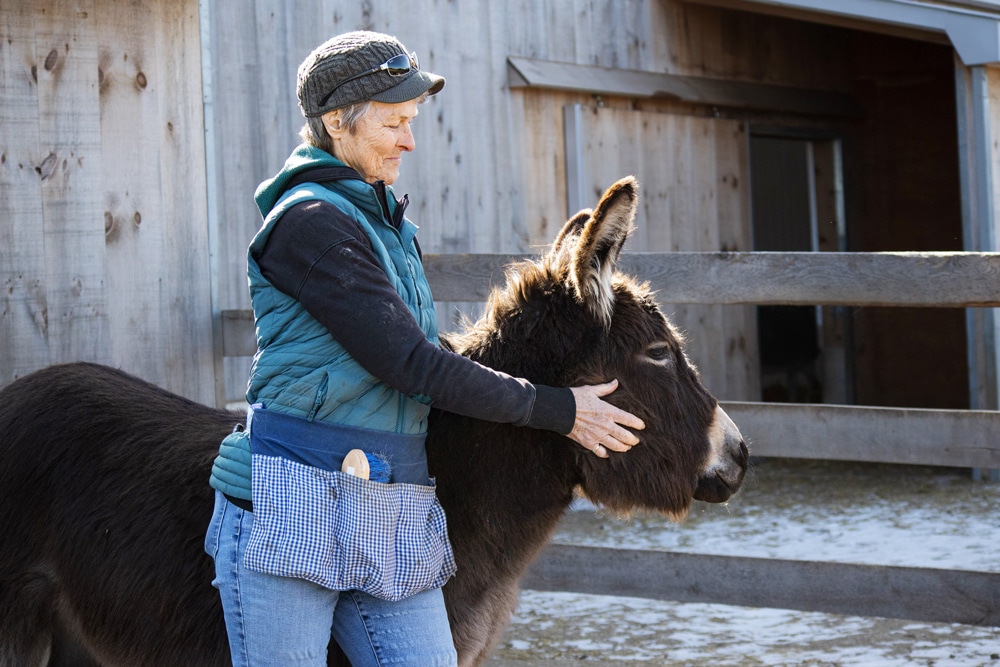 DSC volunteer Judy with one of the DSC donkeys near the Donkey House