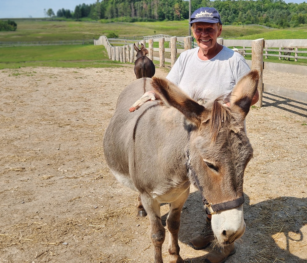 DSC Volunteer Linda with Pearl the donkey in a DSC paddock