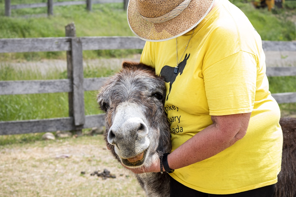 A DSC Volunteer with Oliver the donkey in a DSC paddock.